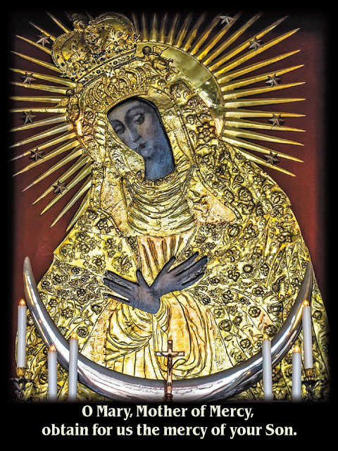 Mother of Mercy Chaplet Prayer Card